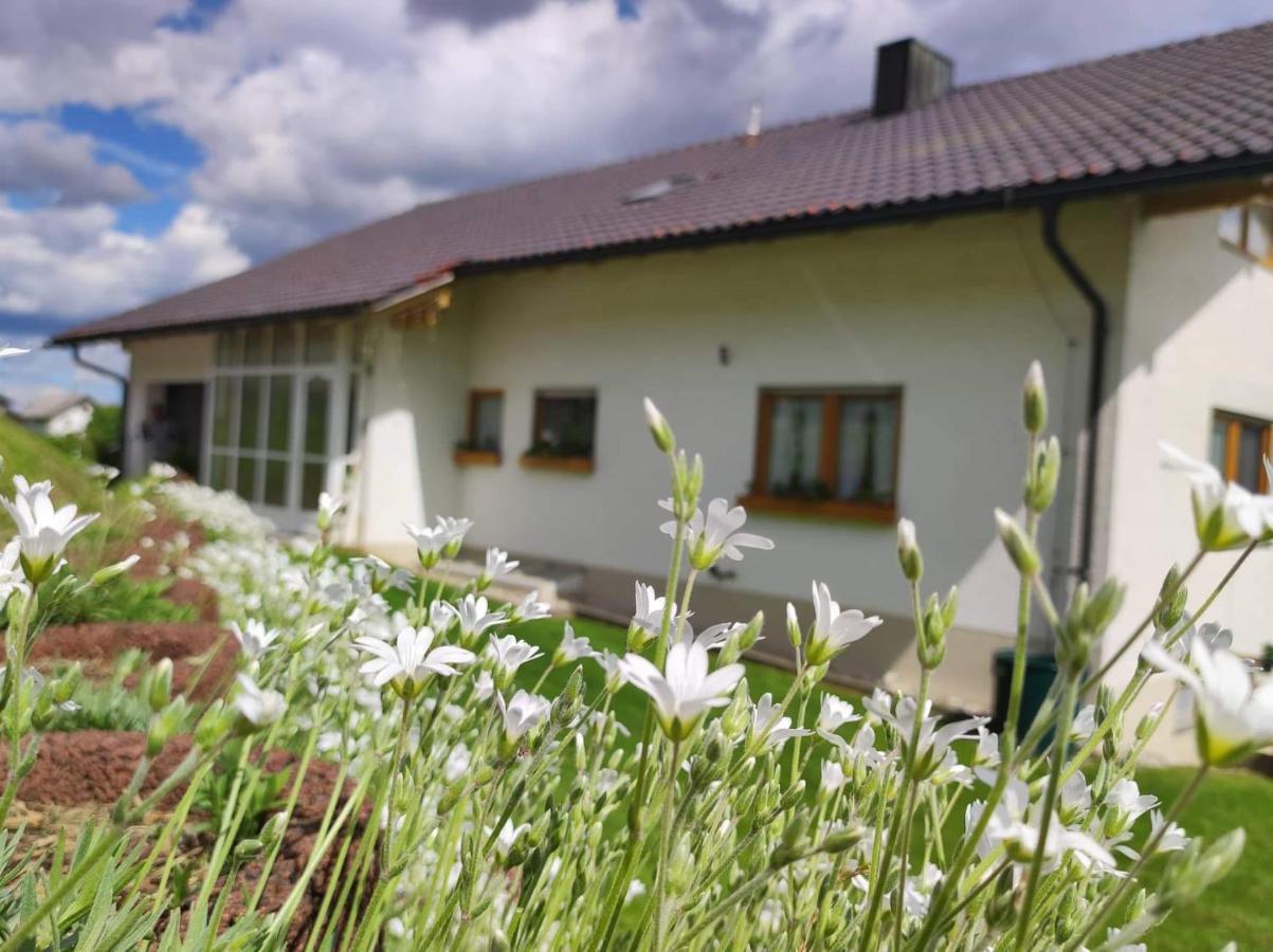 Edelstein Ferienwohnung Philippsreut Zewnętrze zdjęcie